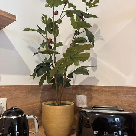 Hypercentre - Loge De La Chouette Appartement