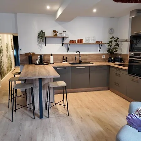 Hypercentre - Loge De La Chouette Apartament *