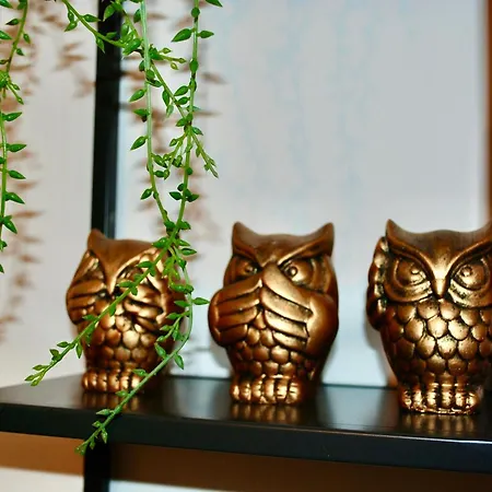 Hypercentre - Loge De La Chouette