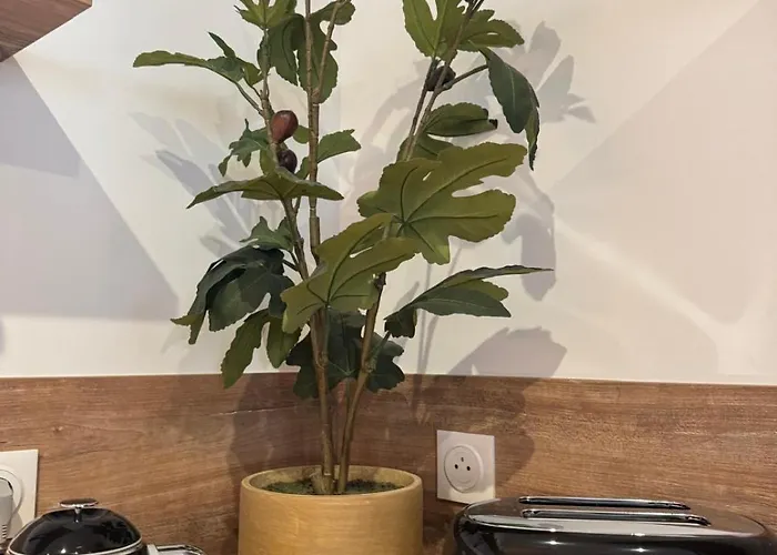 Hypercentre - Loge De La Chouette アパート