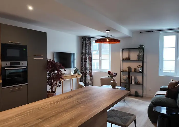 Hypercentre - Loge De La Chouette アパート *