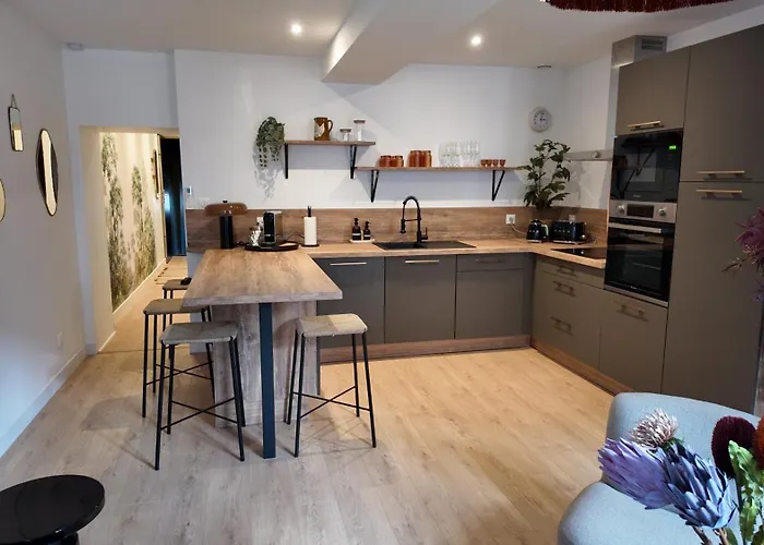 Hypercentre - Loge De La Chouette Apartament *