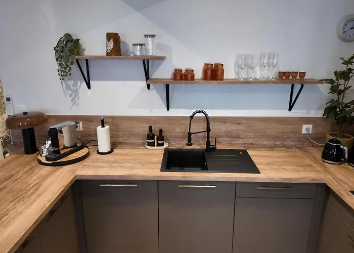 Apartament Hypercentre - Loge De La Chouette Dijon