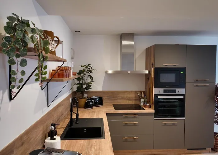 Apartament Hypercentre - Loge De La Chouette