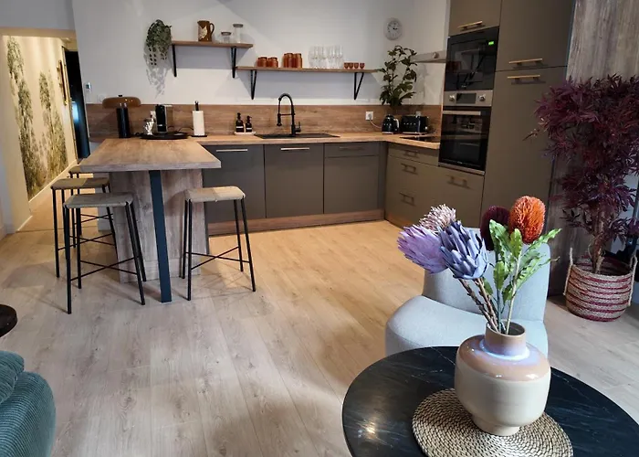 Apartament Hypercentre - Loge De La Chouette *