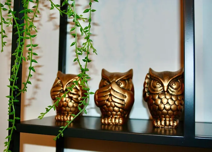 Hypercentre - Loge De La Chouette